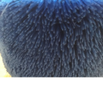 Blue fuzz group