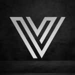 Vidra Studios