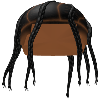 Spiral Braids Roblox item