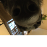 Coooooooooooooooooooooool