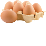 EgGs UnItEd BoI