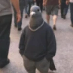 TIRED OF WINNING Group Thumbnail