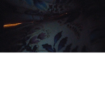 Join the group for robux every month