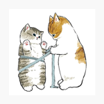 .⋆Los Mininos⋆.