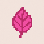 Petal Studio