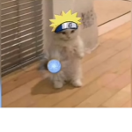 Best cat gang
