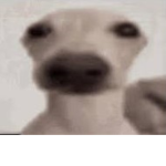 je suis fou ;-;