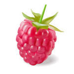 The Rasberry Family