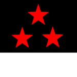 [NRI] Nuevo Rico