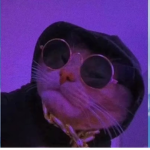skullzyJ
