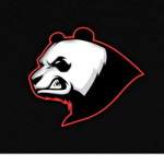 Team panda raiders