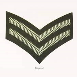 Cadet Officer Promote Rank Course