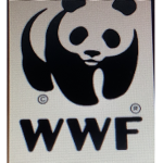 The pandas are kings and queens