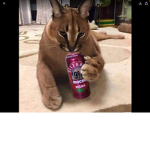 Team Cola Official
