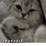 † A D O R A B L E †