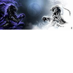 Dark v. Light