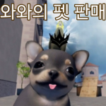 치와와의 펫 판매점