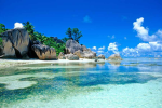 Precious Paradise