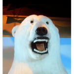 ur polar bear