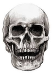 Skull Drop