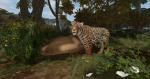 Ridge's Reserve [ECOS]