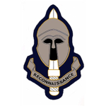 Special Reconnaissance Regiment {SRR}