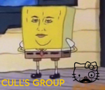 Cull's Group