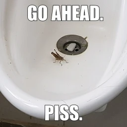 pee icon