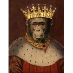 Kingdom of Apes
