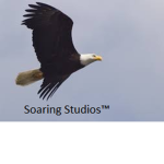 Soaring Studios™