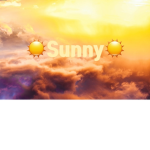비소나리 Sunny_그룹