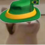 POPCATY_zBRAILI