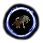 Beagle Guard