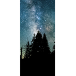 The Nature live
