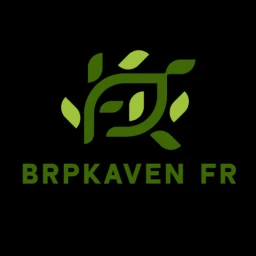 BROJHAVEN FR  icon