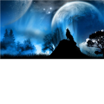 ~The Night Clan Of Robloxia~