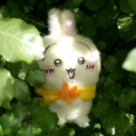{-kitty-}