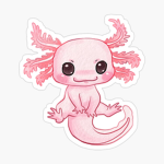 Gli axolotl!