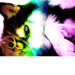 Wolfy Fans Group