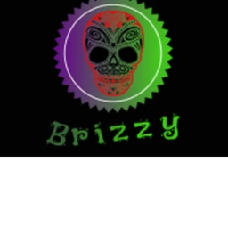 Brizzys store icon
