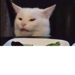 Gatos Castrosos