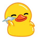 Awesome Duck Community