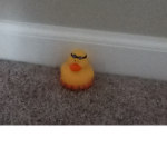 DUCKIES FOR THE LIFE