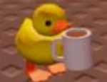 Duckyfans Official
