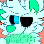 (+) Caty's shop! (+)