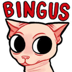 Bingus Hub