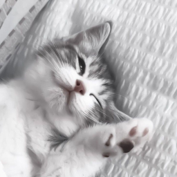 ☆