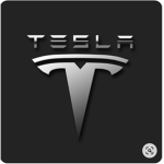Tesla team X