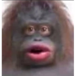 The Monke Masters