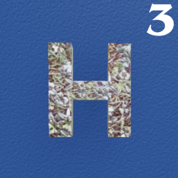 Henry's MOD 3